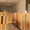 Fábrica de China Muestras sin frito 5 kg nutritivos sanos bajos y sabrosos fideos sabrosos