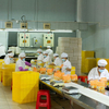 Productos de cereales gruesos en venta caliente