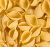 Proveedor de bolsas de pasta seca de cocción en 12 minutos de trigo duro premium con forma de conchiglie de 500 g